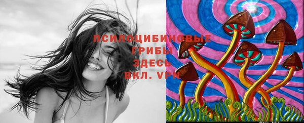 прущая мука Белоозёрский